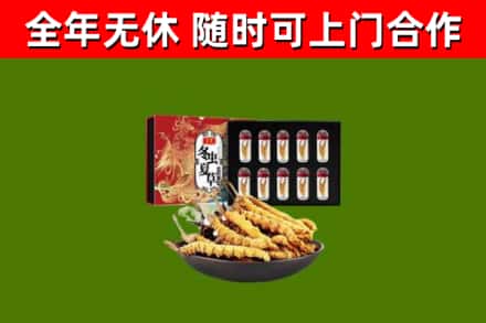 淄博回收冬虫夏草价格